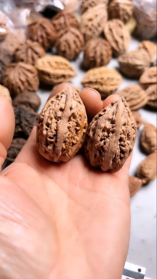 核桃东北野生大秋子1