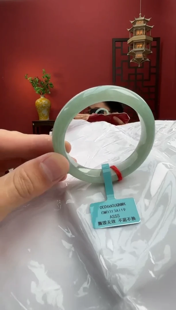 未镶嵌手镯翡翠翡翠手镯19