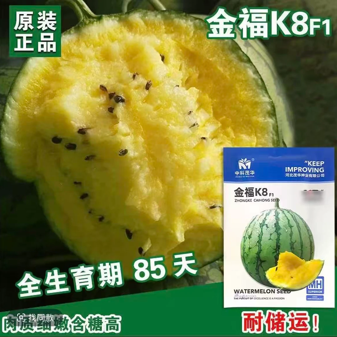金福8k西瓜种子黄瓤超甜特大皮薄春夏播蔬菜水果种子