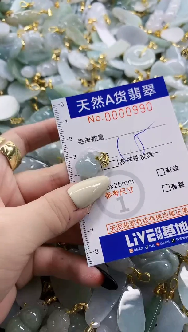 颈饰未镶嵌翡翠天然A货翡翠