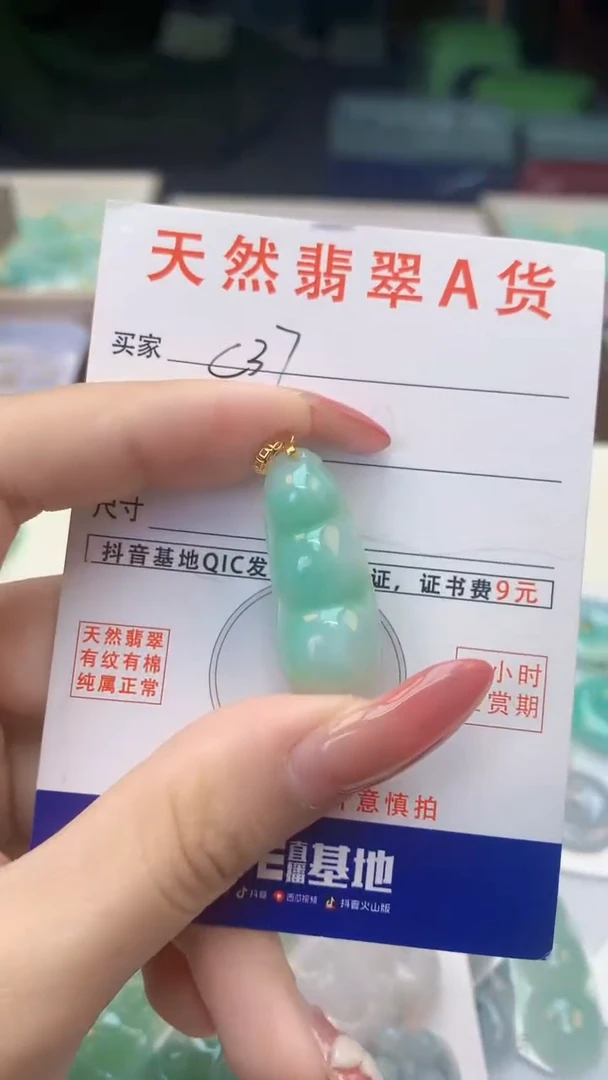 颈饰未镶嵌翡翠天然A货翡翠挂件