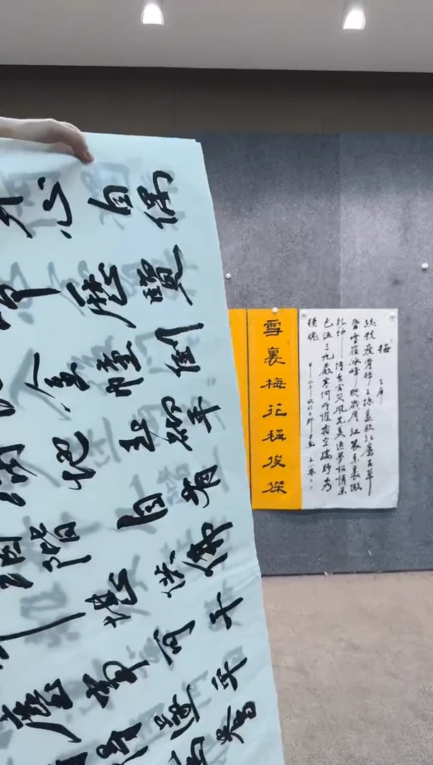 【闪购商品】书法pmw不二轩旗舰店书法WXD9