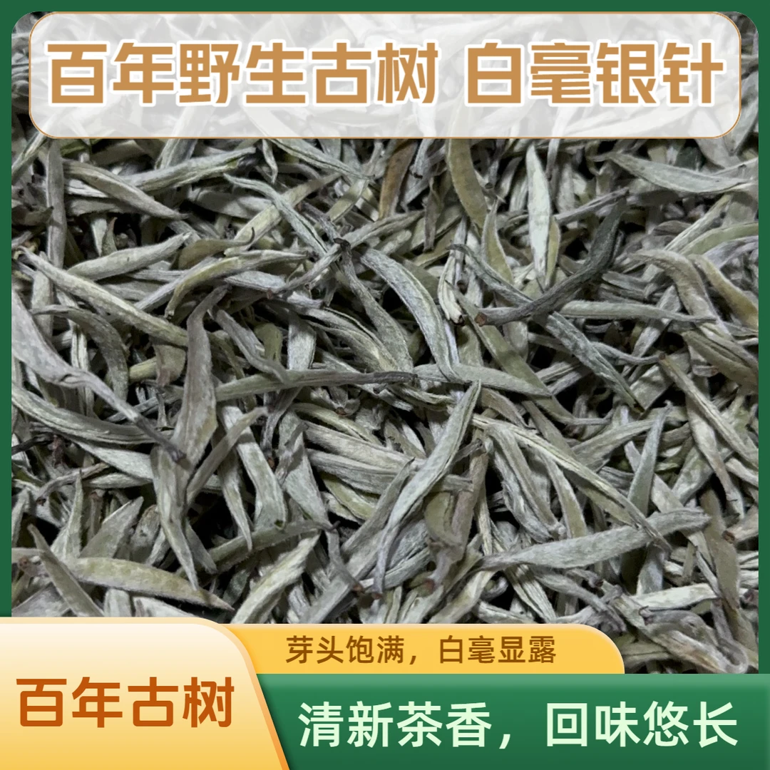 深山古树【白毫银针】汤色黄明亮毫香十足鲜爽清甜茶汤回甘持久