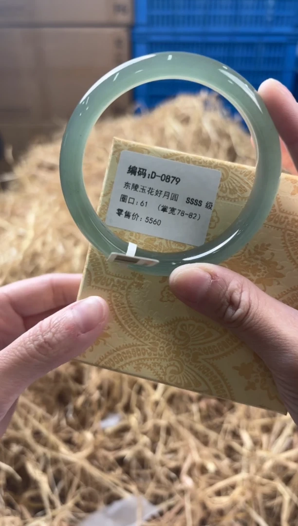 未镶嵌手镯石英质玉D-0879