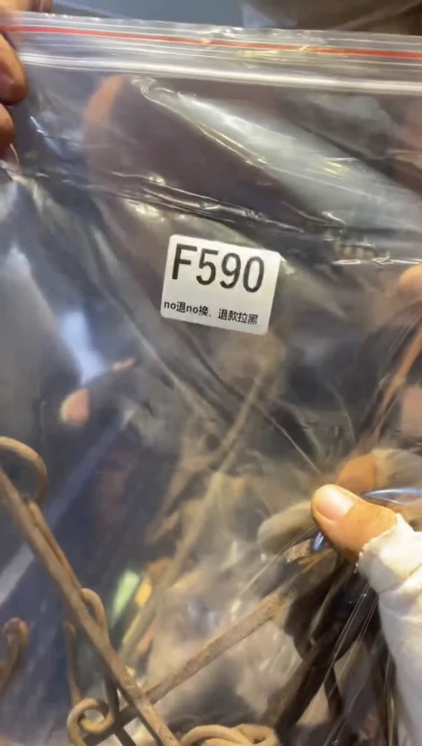 瓷片龙*风表弟直播链接热卖