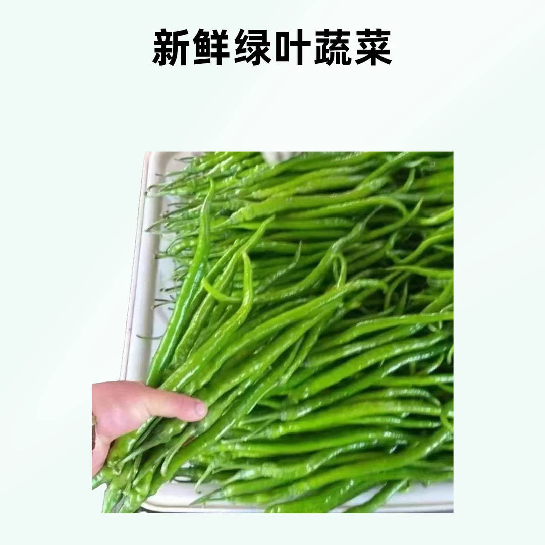新种线椒特辣薄皮农家微辣自种荆条辣椒青线尖椒青3斤新鲜
