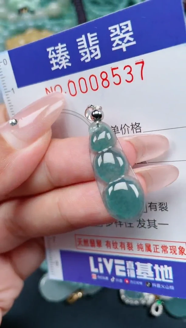 翡翠未镶嵌颈饰.0008537