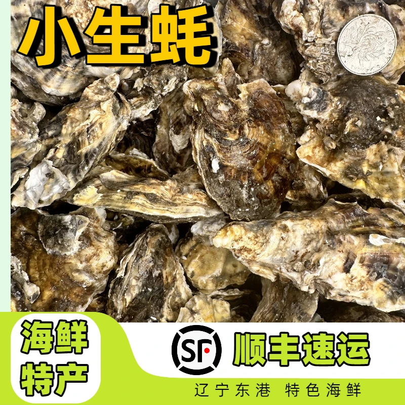 新鲜小生蚝【顺丰速运】]小肉海蛎子【吃的就是新鲜】到家保鲜不保活