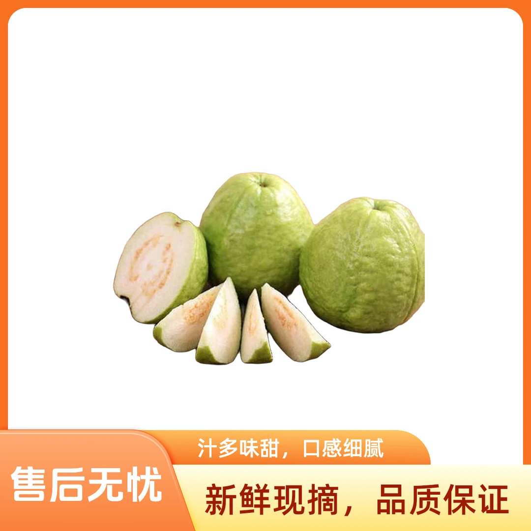 【奶酪芭乐】四斤装 顺丰包邮