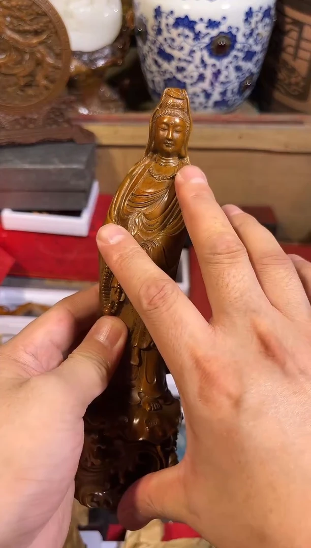 黄杨木11111111111111