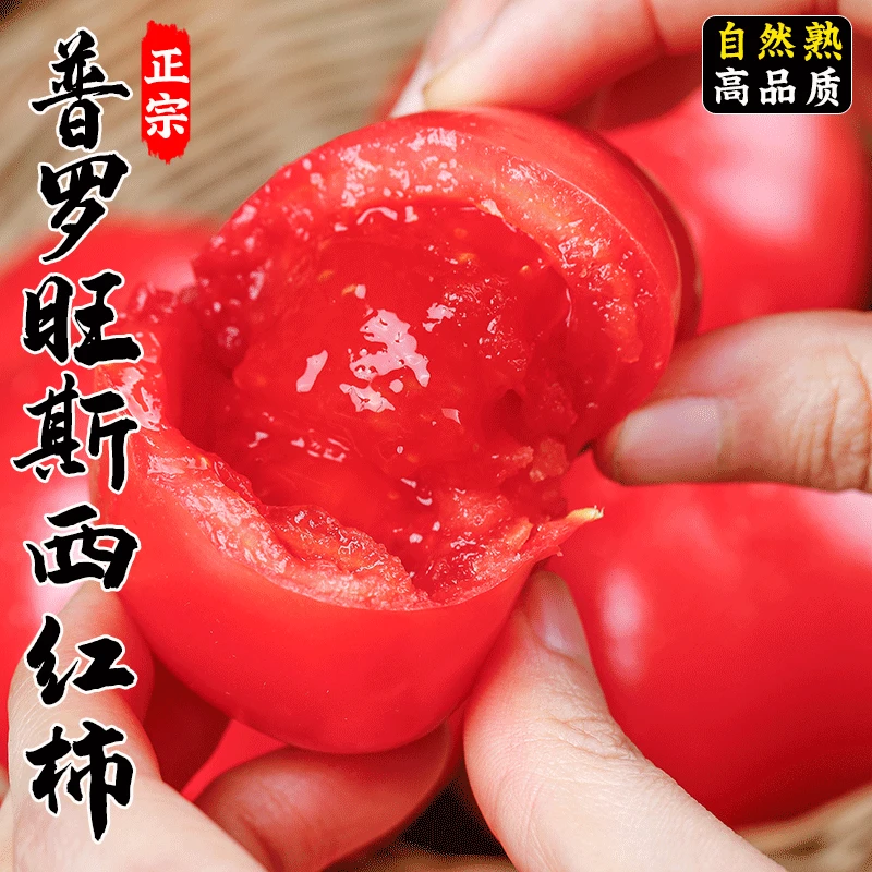 陕西泾阳普罗旺斯水果西红柿自然成熟采摘沙瓤带箱5.1-5.5斤包邮