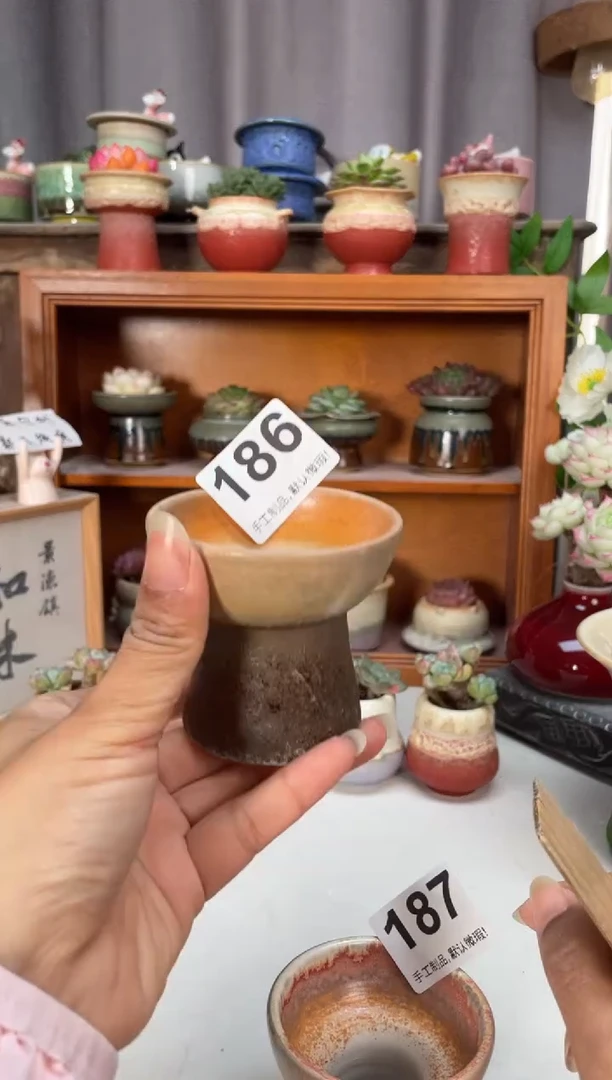 瓷片186小芳直播编号