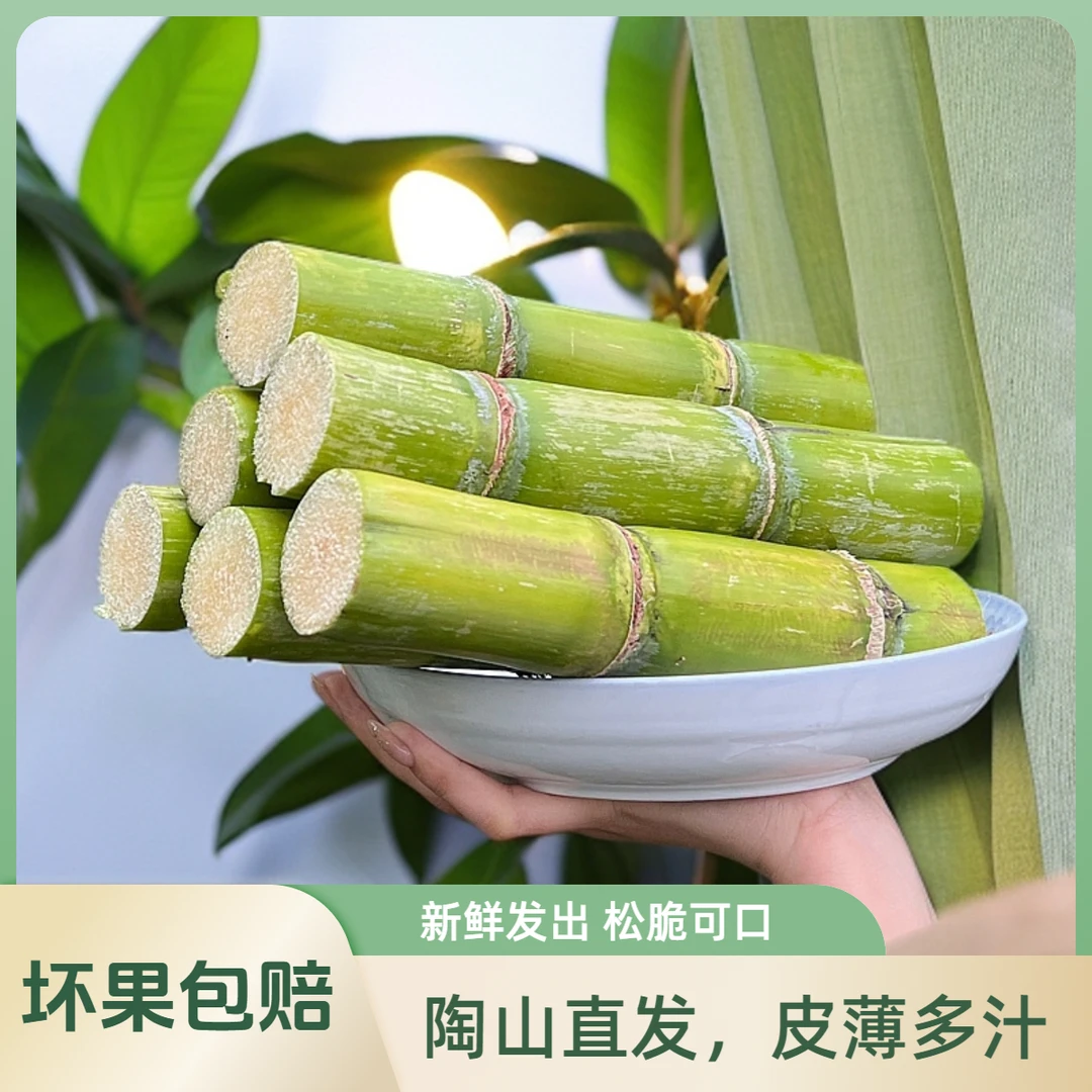 陶山甘蔗正宗精品青皮绿皮甘蔗现砍新鲜水果当季5斤果蔗好吃西