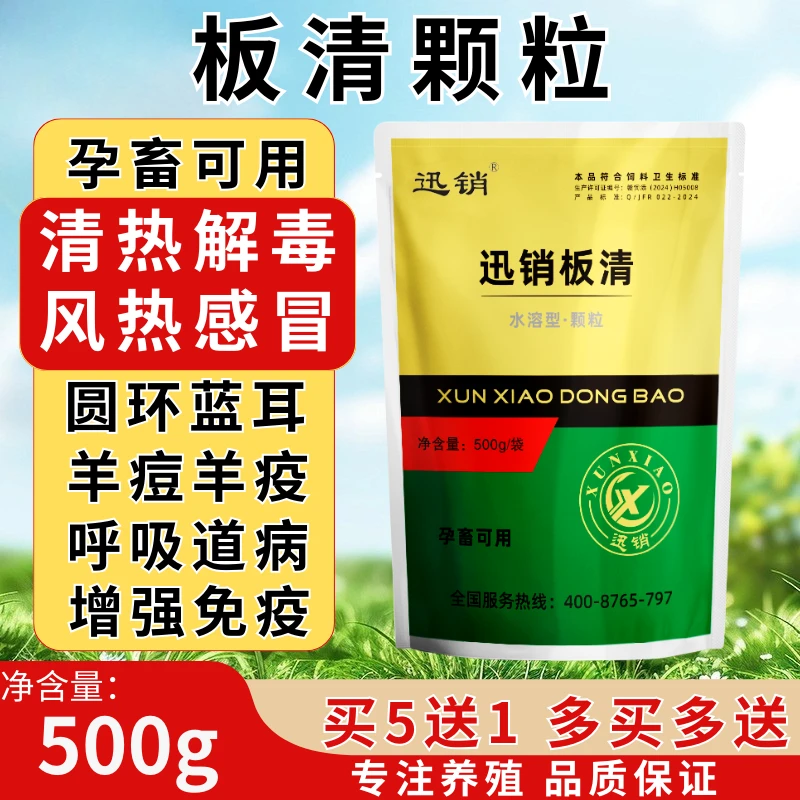 强效板清颗粒猪牛羊清热解毒感冒发烧流感圆环蓝耳羊痘羊疫添加剂