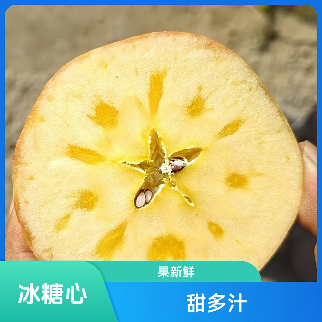 阿克苏苹果 天山雪水灌溉 脆甜多汁  核小无渣 自然成熟新疆维吾尔自治区