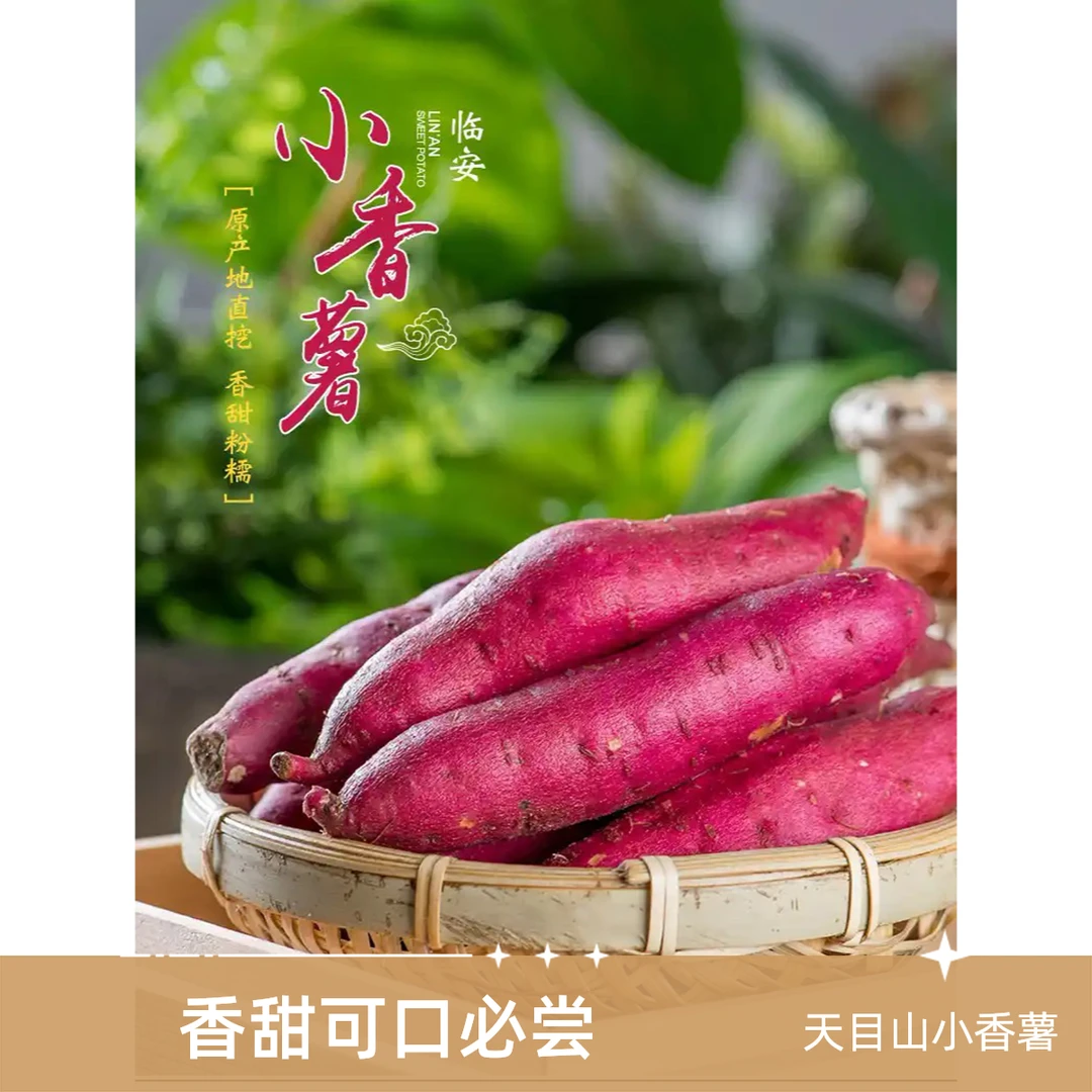 临安天目山小香薯！你值得拥有！