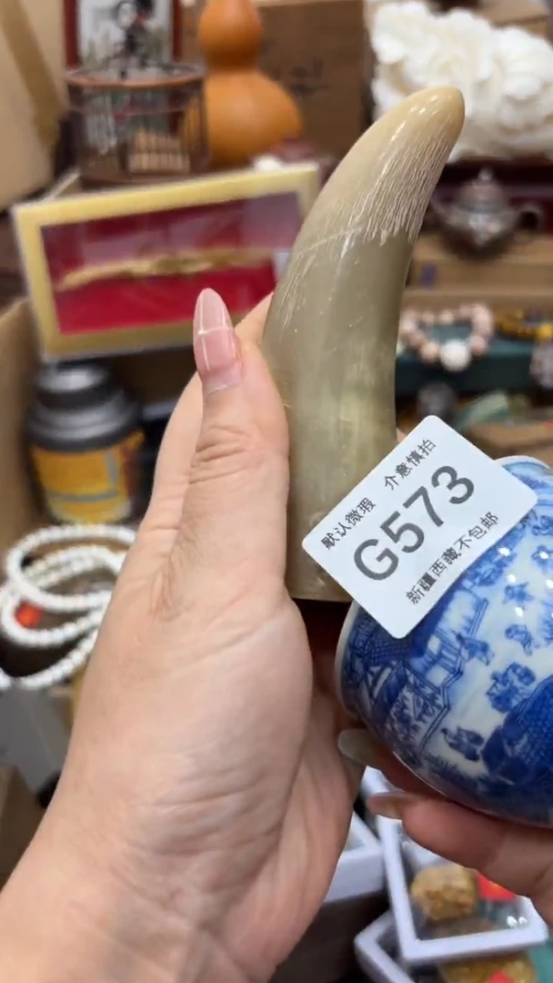 茶盏多**后新疆西藏不包邮573