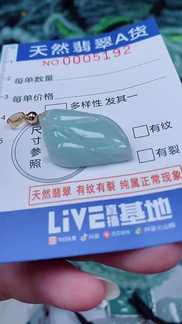 翡翠未镶嵌颈饰00005192