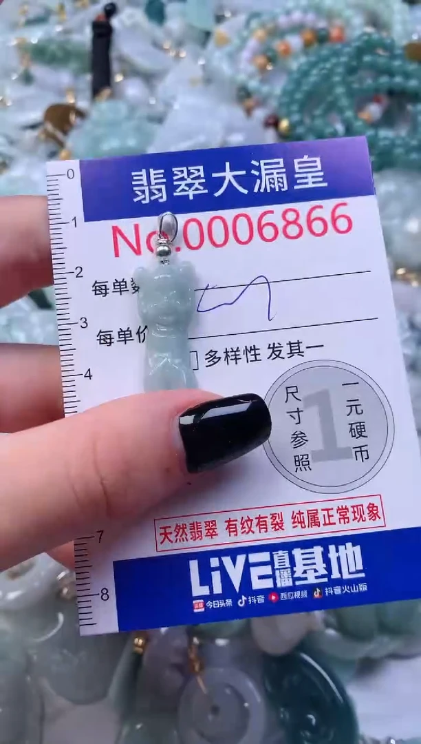 颈饰未镶嵌翡翠6866