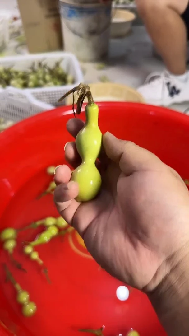 轩*文玩葫芦摆件手把件蚂蚁