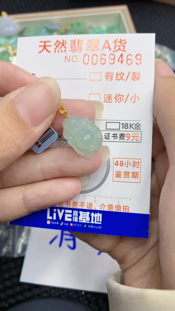 【闪购商品】翡翠颈饰18K金镶嵌            8