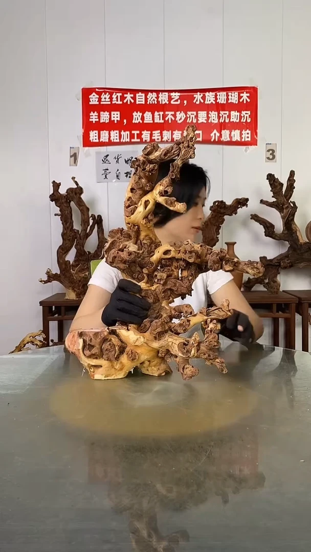 香榧木新****馆金丝红木   羊蹄甲