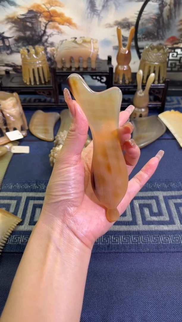 云南老白水白水人鱼刮板