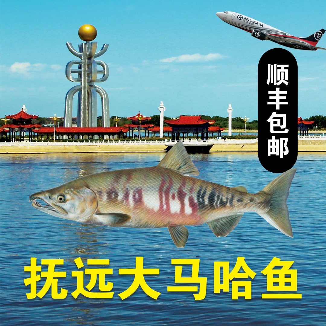 黑龙江抚远 大马哈鱼