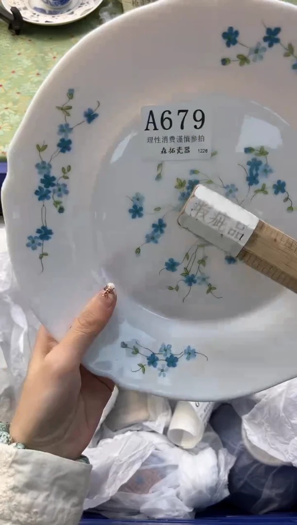 【闪购商品】瓷片          A679