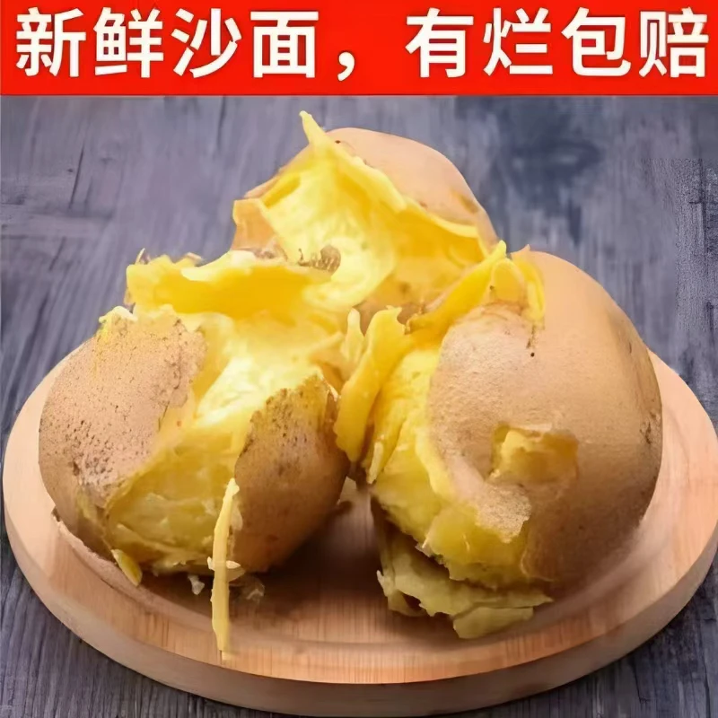 甘肃沙地黄心黄面土豆马铃薯现挖现发小土豆带箱9-10斤