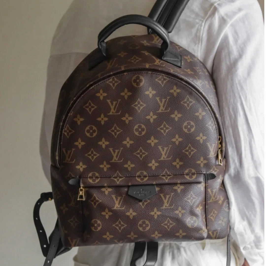95新 LouisVuitton/路易威登 7姐专场/老花小号 双肩包  19年