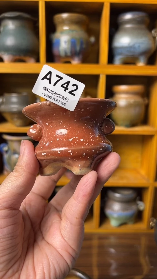 742 内口6【多肉花盆多肉盆】
