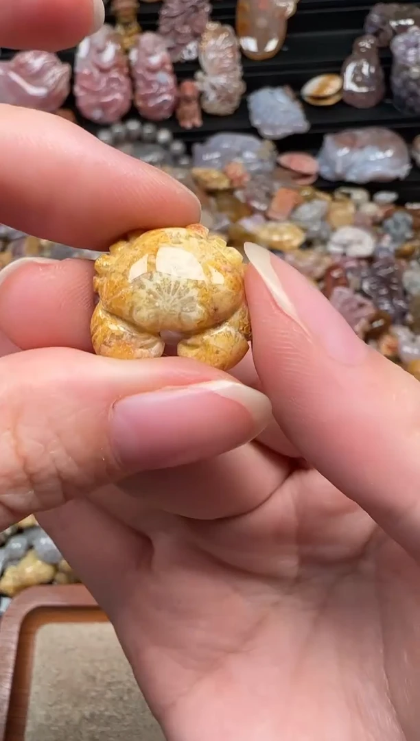 颈饰未镶嵌硅化珊瑚（珊瑚玉）786