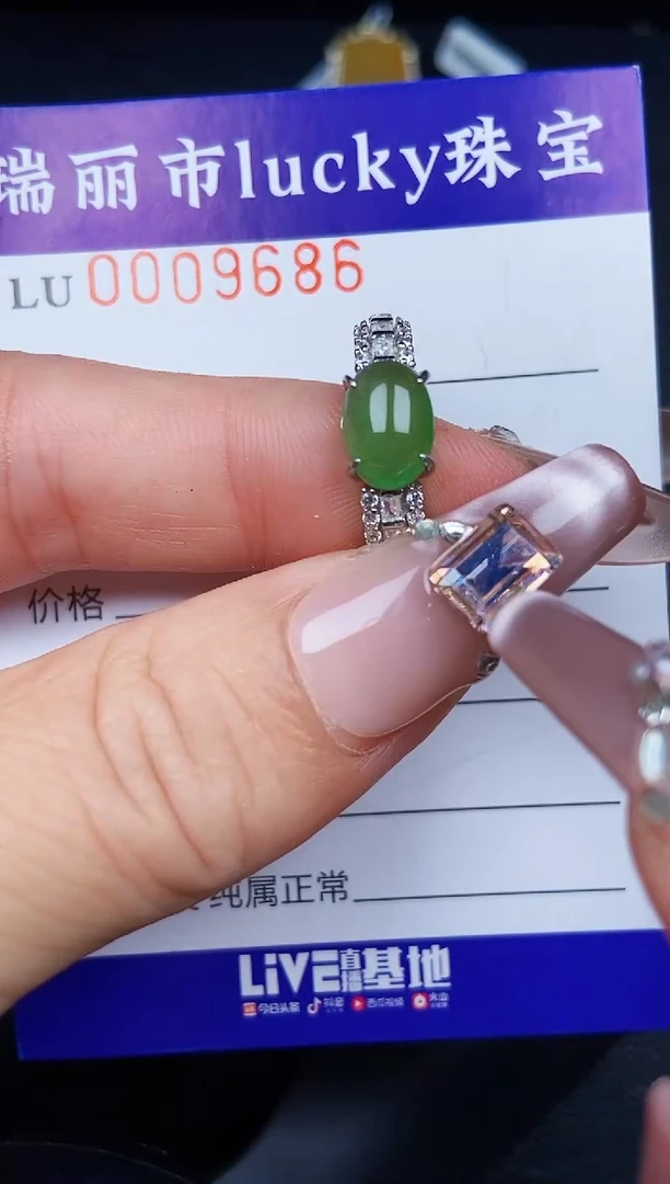 翡翠银S925镶嵌颈饰9686