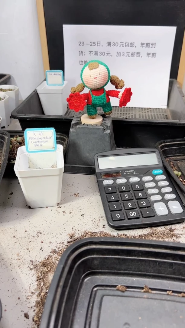 【闪购商品】++++443