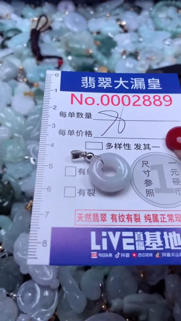 颈饰未镶嵌翡翠2889