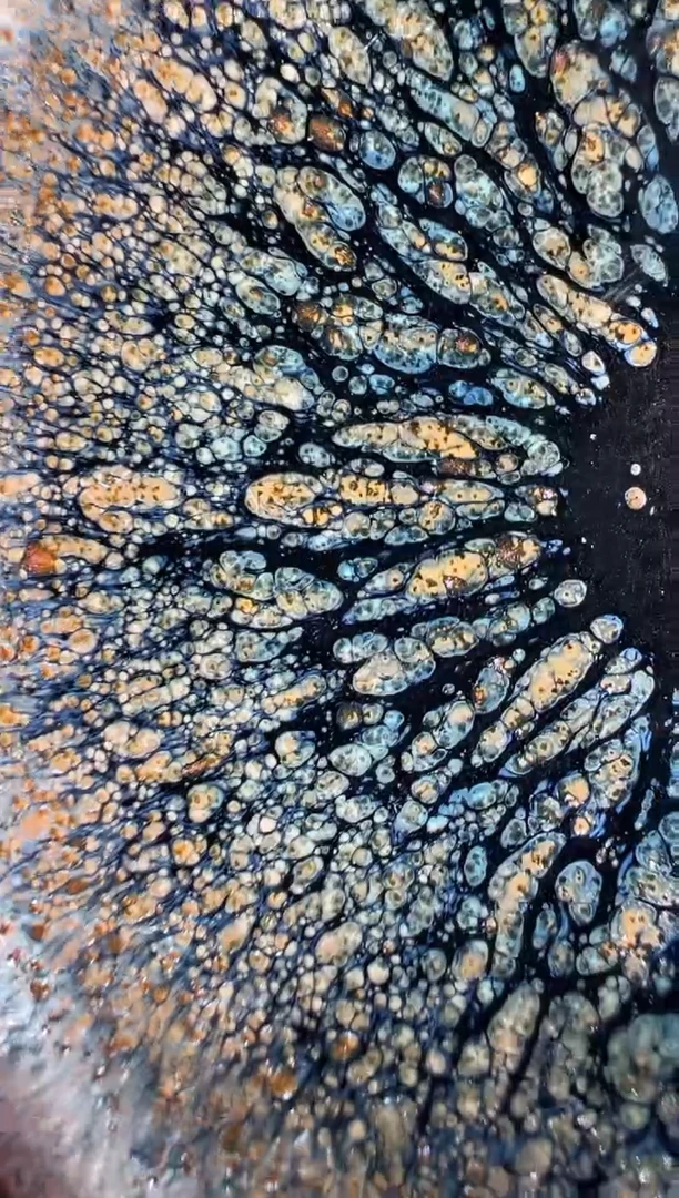 茶盏老表精选柴烧97