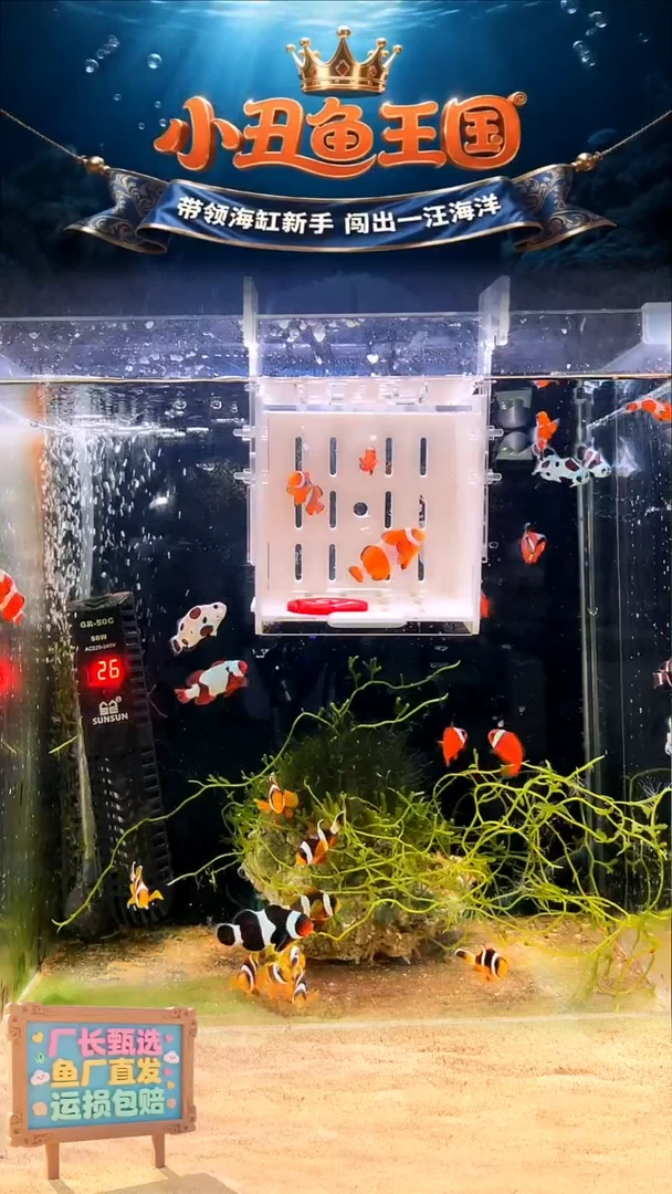 海水鱼十斤珊瑚骨十斤珊瑚骨+1盐度计