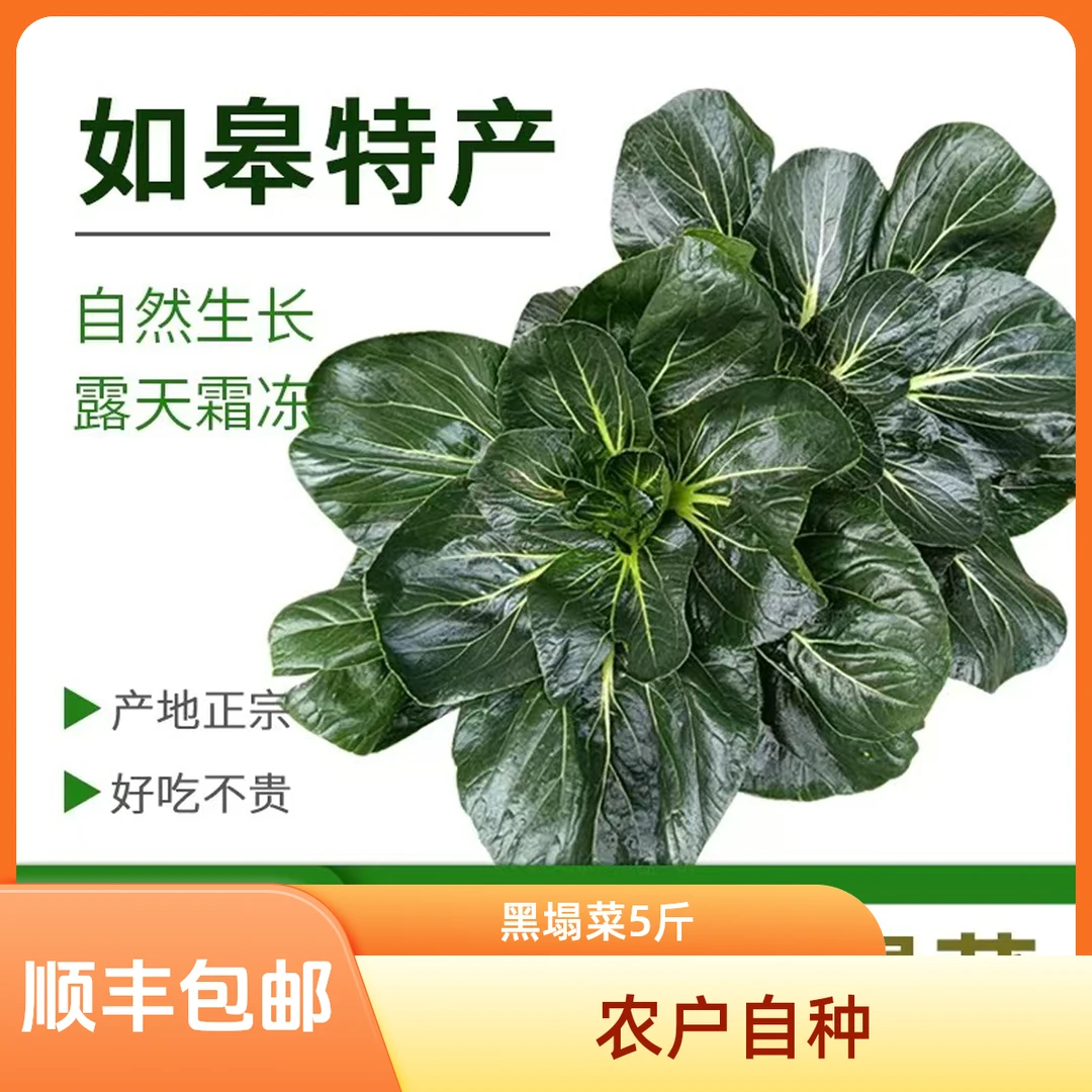 【顺丰包邮】如皋黑塌菜趴趴菜霜冻菜(5斤装)