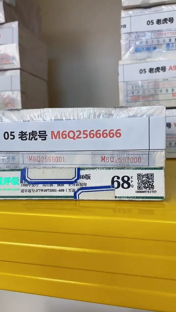 M 05 老虎号 M6Q2566666