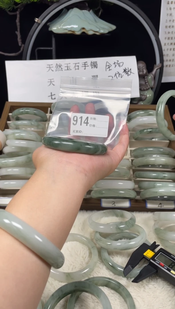未镶嵌手镯石英质玉（天山翠）914