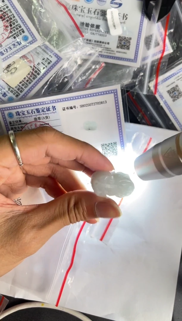 翡翠未镶嵌颈饰貔貅