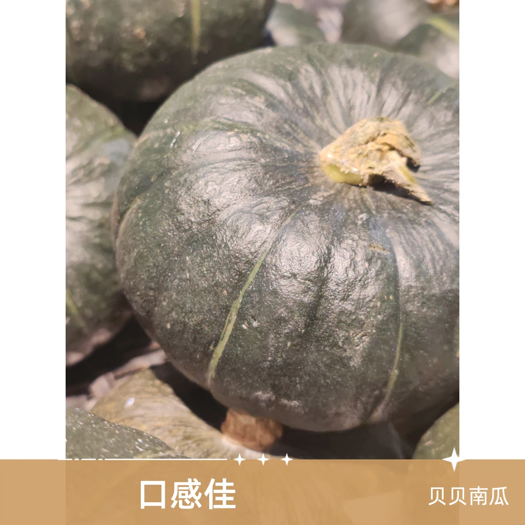 精品贝贝南瓜 14元2个 小朋友辅食 900g±40g南瓜同城送