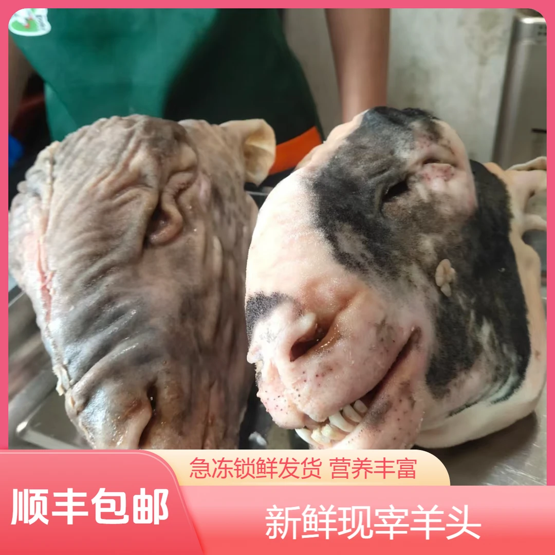 【顺丰包邮】小花羊头新鲜整只羊头带皮急冻锁鲜肉质鲜嫩带羊脑包邮