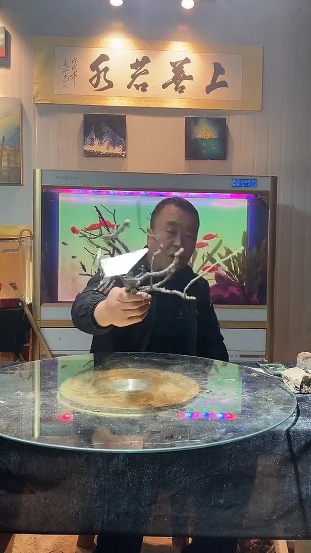 140号天然黄栎木