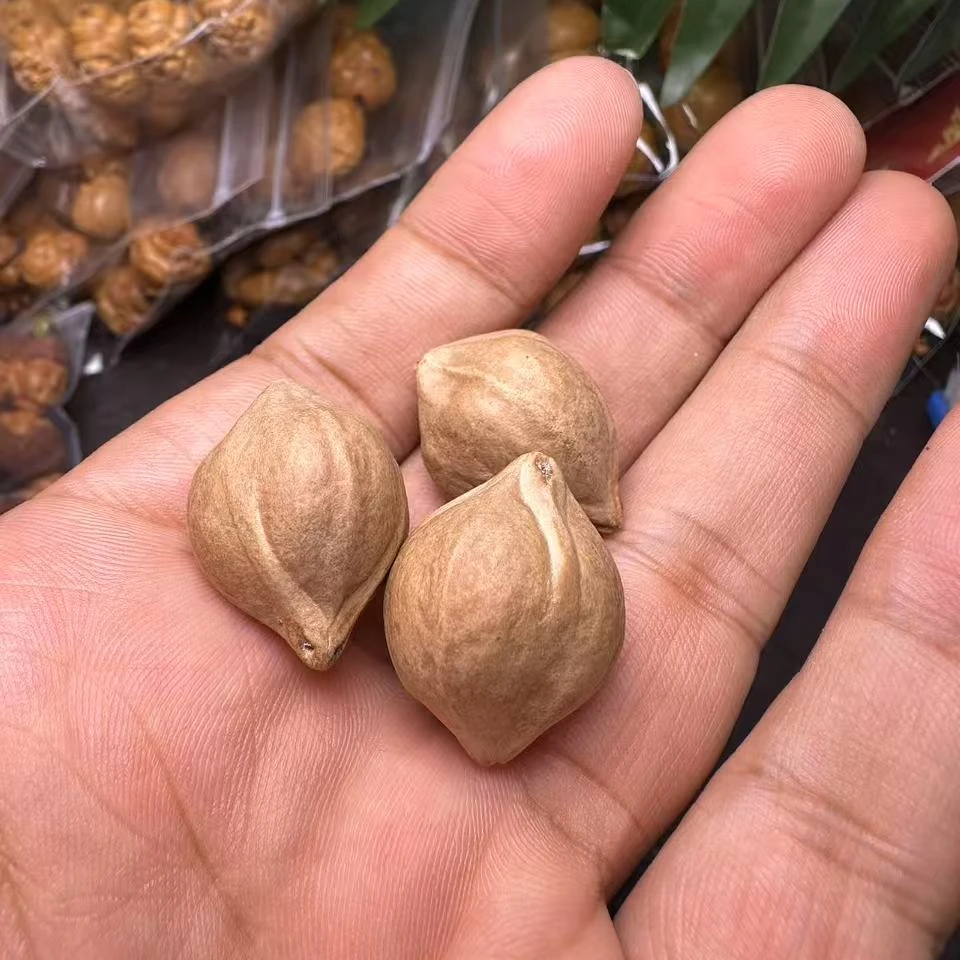橄榄核补籽换籽一颗单颗20