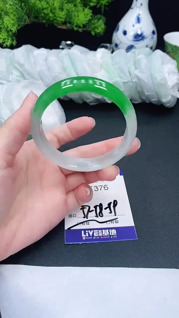 未镶嵌手镯翡翠376