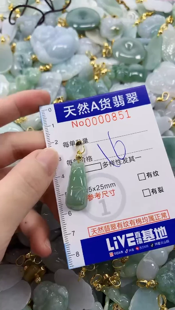 颈饰未镶嵌翡翠天然A货翡翠