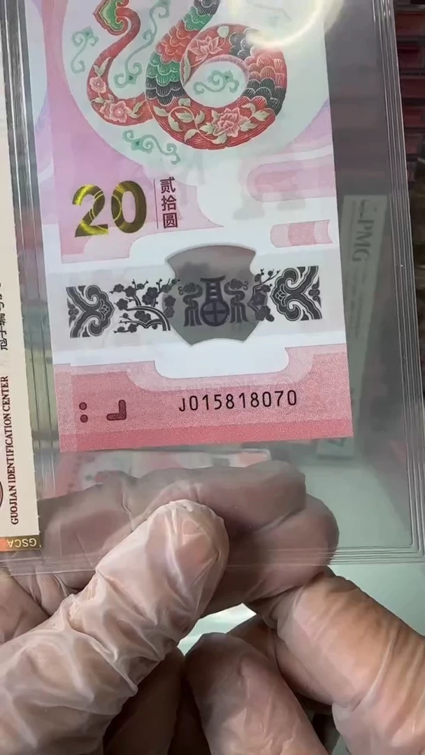 【闪购商品】塑料015818070-蛇钞单张！