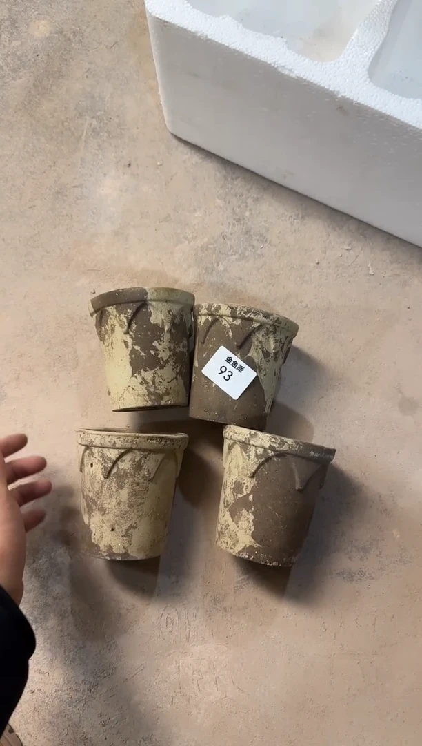 金鱼派93    10皇冠*4